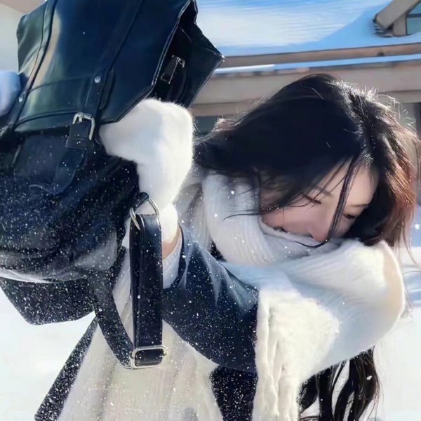 多伦多法律与秩序：犯罪倾向